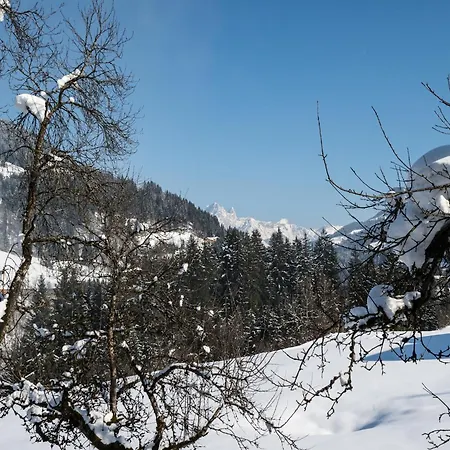 Mansion In Eben Near Salzburger Sportwelt, Cleaning Included Feriehus Eben Im Pongau